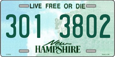 NH license plate 3013802