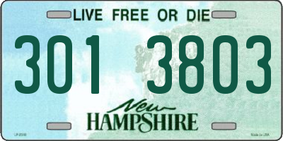 NH license plate 3013803