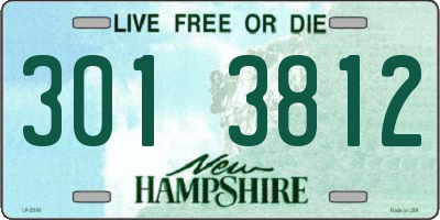 NH license plate 3013812