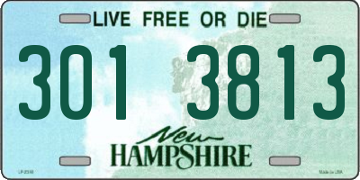 NH license plate 3013813