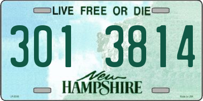 NH license plate 3013814