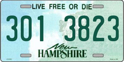 NH license plate 3013823