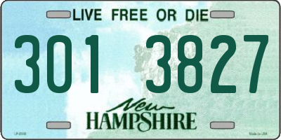 NH license plate 3013827