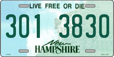 NH license plate 3013830