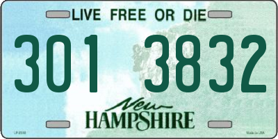 NH license plate 3013832