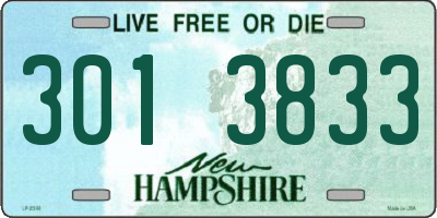 NH license plate 3013833