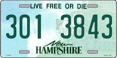 NH license plate 3013843