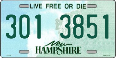 NH license plate 3013851