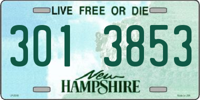 NH license plate 3013853