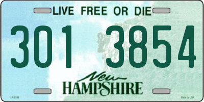 NH license plate 3013854