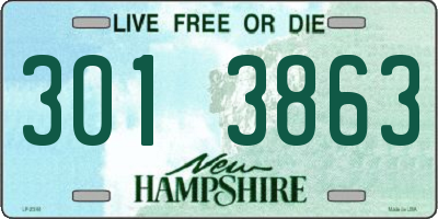 NH license plate 3013863