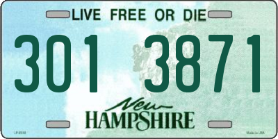 NH license plate 3013871