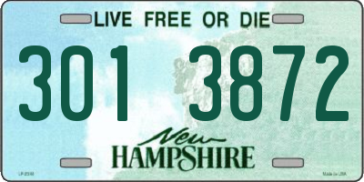 NH license plate 3013872