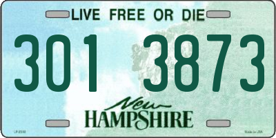 NH license plate 3013873