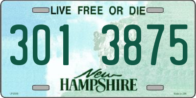 NH license plate 3013875