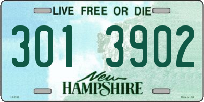 NH license plate 3013902