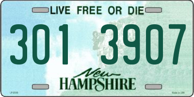NH license plate 3013907