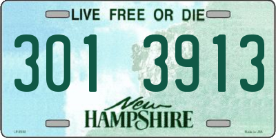 NH license plate 3013913