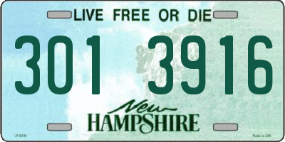 NH license plate 3013916
