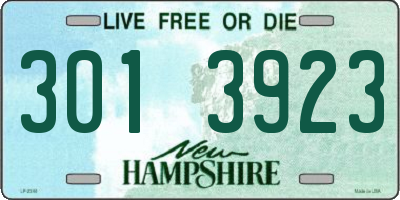 NH license plate 3013923