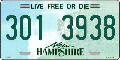 NH license plate 3013938