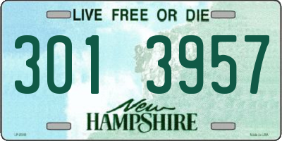 NH license plate 3013957