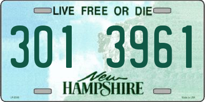 NH license plate 3013961