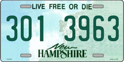 NH license plate 3013963
