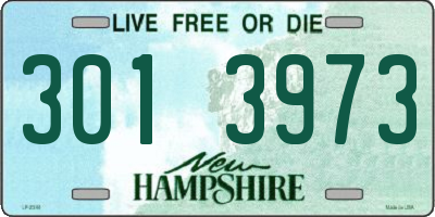 NH license plate 3013973