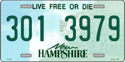 NH license plate 3013979