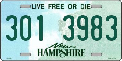 NH license plate 3013983
