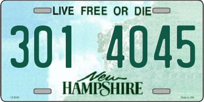 NH license plate 3014045