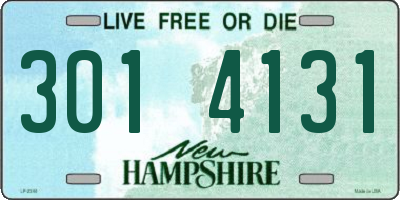 NH license plate 3014131