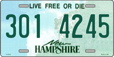 NH license plate 3014245