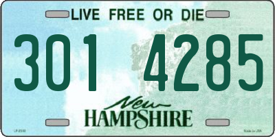 NH license plate 3014285