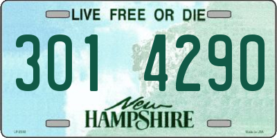 NH license plate 3014290