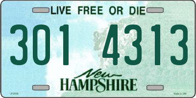 NH license plate 3014313