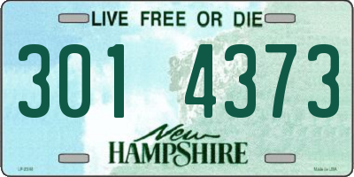 NH license plate 3014373