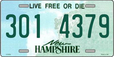 NH license plate 3014379