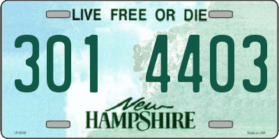 NH license plate 3014403