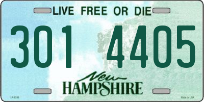 NH license plate 3014405