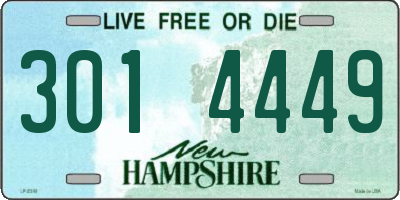 NH license plate 3014449