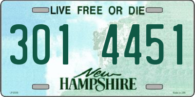 NH license plate 3014451