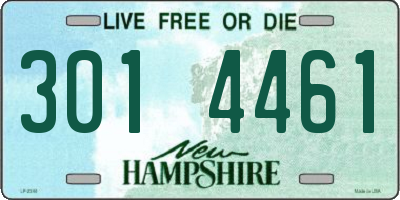 NH license plate 3014461