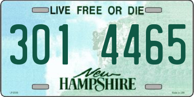 NH license plate 3014465