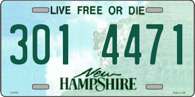 NH license plate 3014471