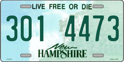NH license plate 3014473