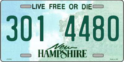 NH license plate 3014480