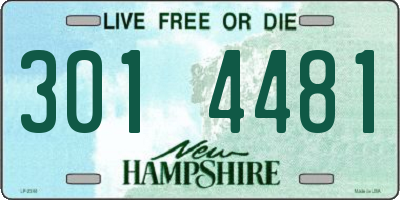 NH license plate 3014481