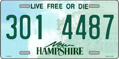 NH license plate 3014487